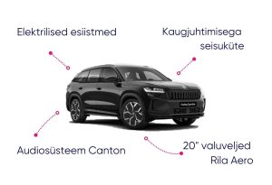 Skoda Kodiaq Арендный автомобиль