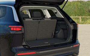 Volkswagen TAYRON Rental car