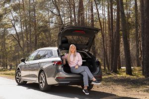 Volkswagen PASSAT Арендный автомобиль